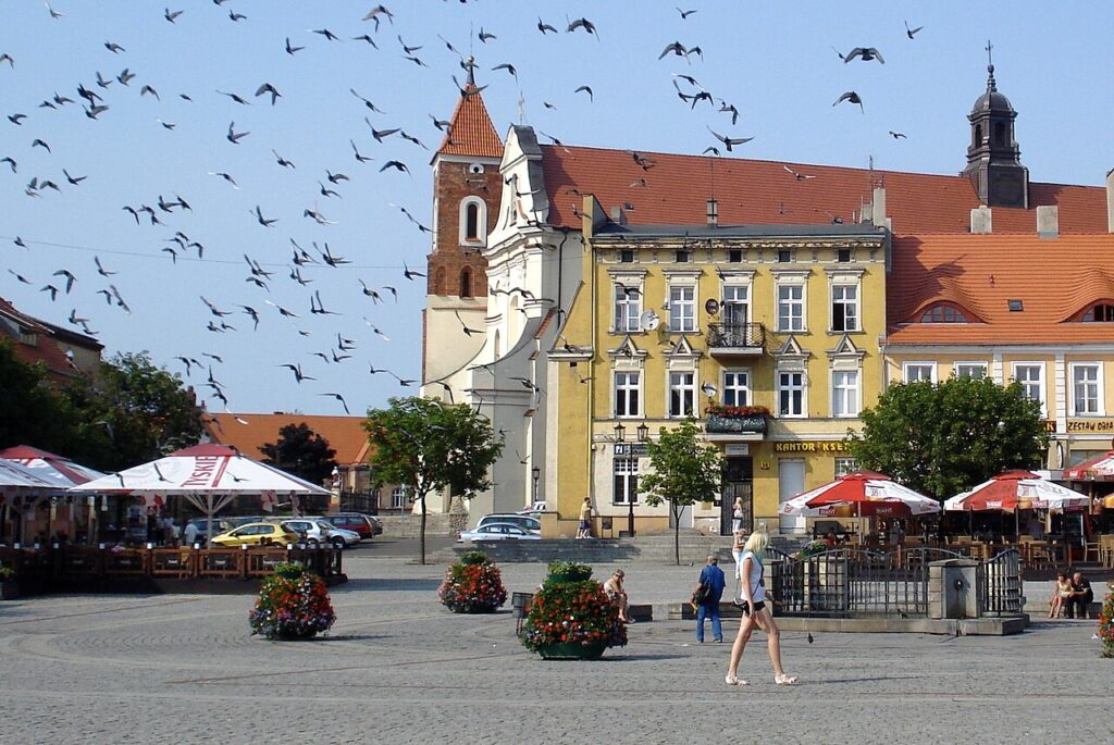 Odzyskiwanie danych Gniezno